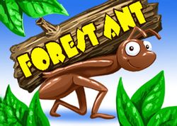 Forest ant